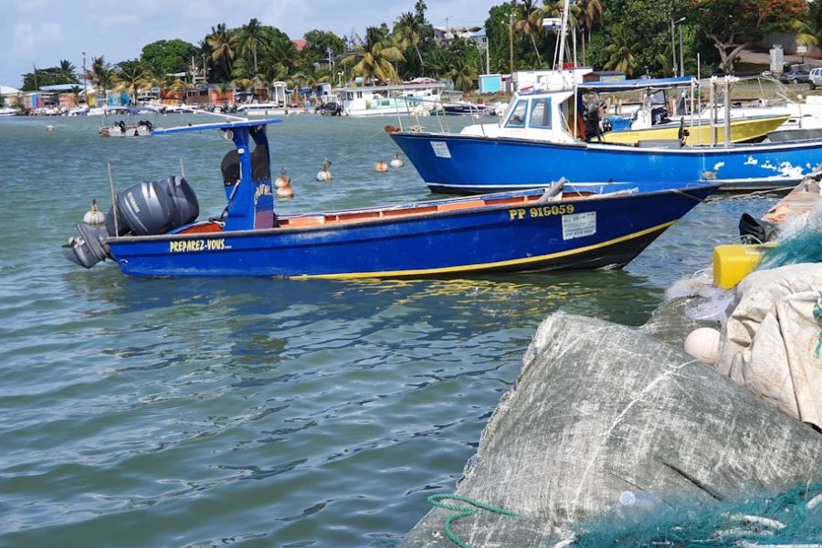 featured 1756512034.456964 a370115f Reel in the Fun: Your Guide to Seasonal Fishing and Boating Highlights in Boca Raton