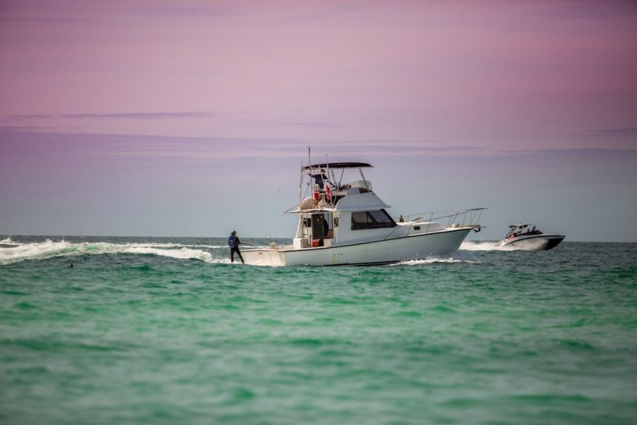 featured 1758067313.890697 bbaf6d16 Local Marine Life and Conservation