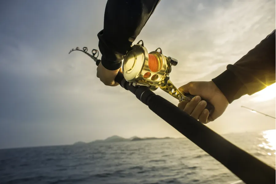 how to craft the perfect hook for your presentation bbf0c25c Why Spotting Birds While Fishing in Florida is a Game-Changer