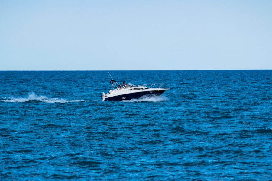 featured 1758067343.498056 dd1c42b8 Local Marine Life and Conservation