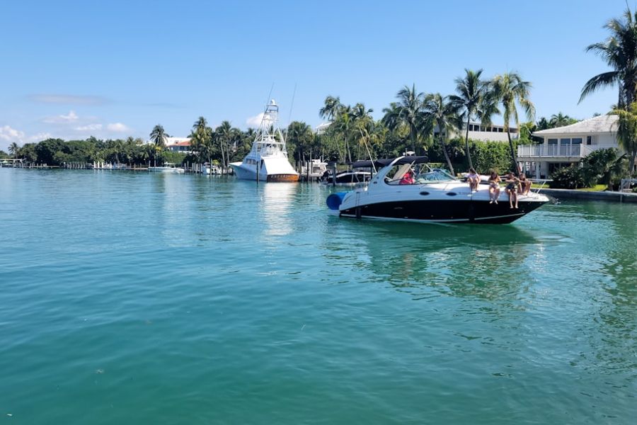 featured 1756080140.226081 f9c01f74 Local Marine Life and Conservation