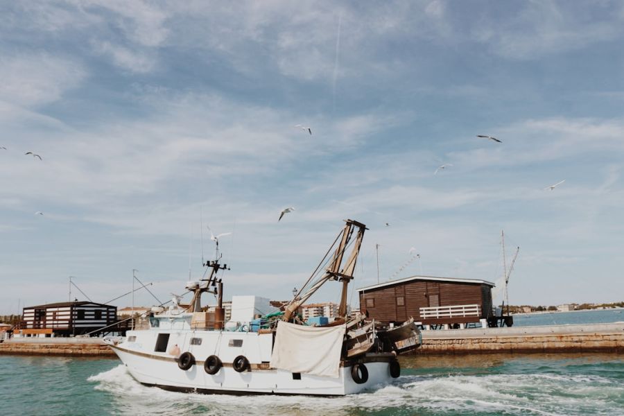 White fishing boat at harbor with seagulls