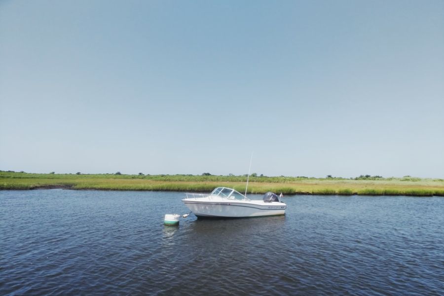 White motorboat on calm water near shore