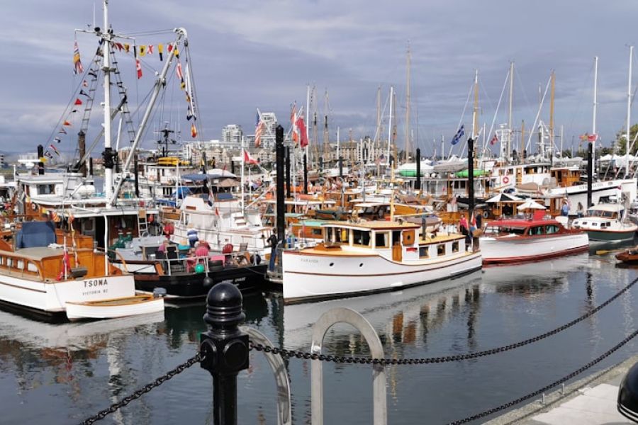Busy marina full of docked boats.