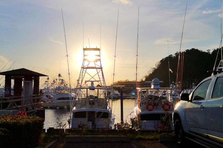 Sunset marina with boats and a white SUV.