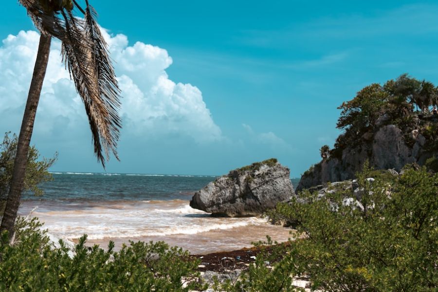 Tropical beach with palm and rocky outcrop