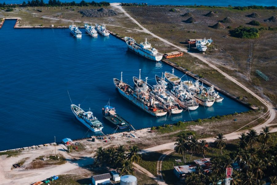 Aerial harbor filled with docked fishing boats