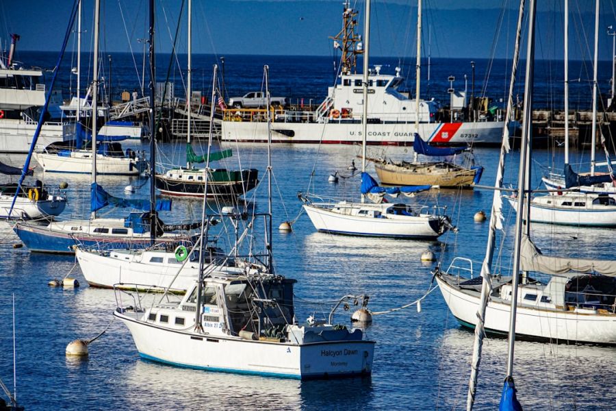 Sailboats moored in busy marina.