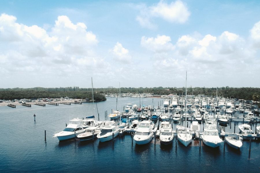 Aerial view of crowded marina boats