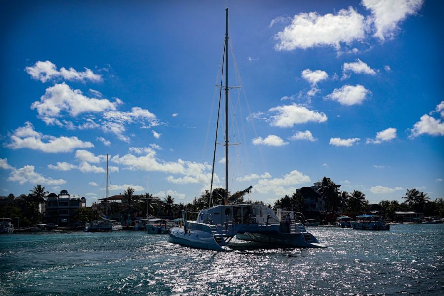 Catamaran sailboat in sunny harbor.