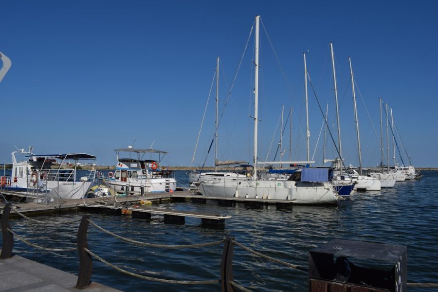 Sailboats moored at a sunny marina.