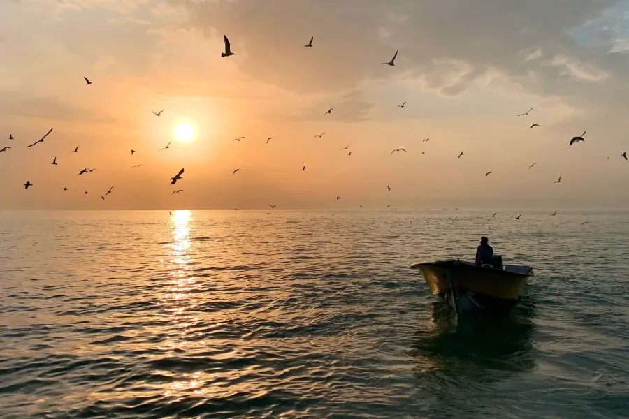 Sunset over calm sea with boat and birds