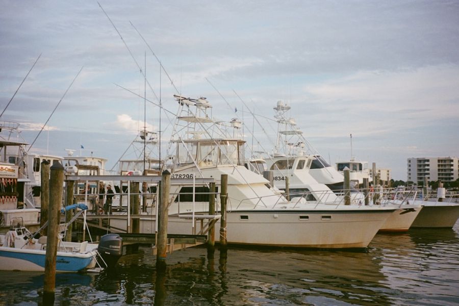 White yachts docked at marina