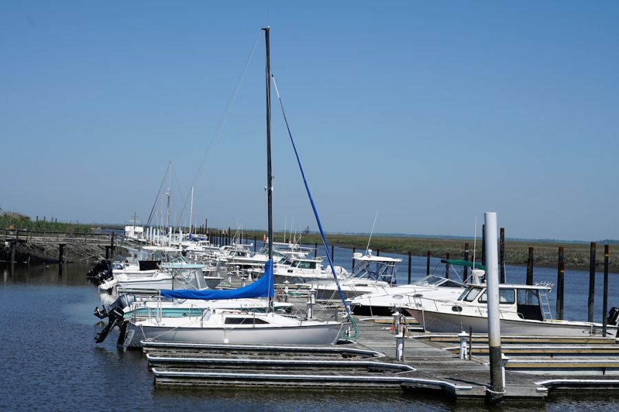 Boats moored at a sunny marina.