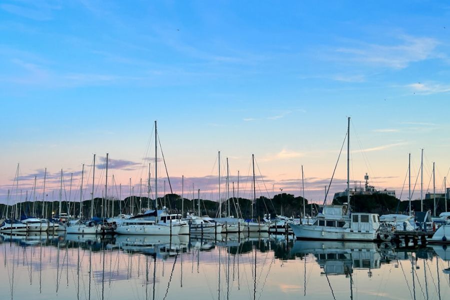 Sailboats docked at a calm marina