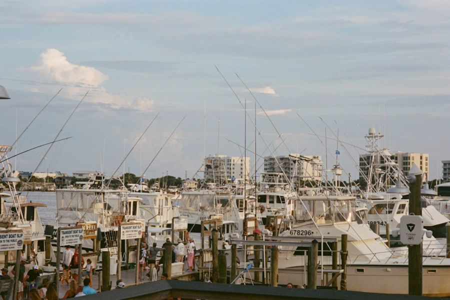 Busy marina filled with docked boats.