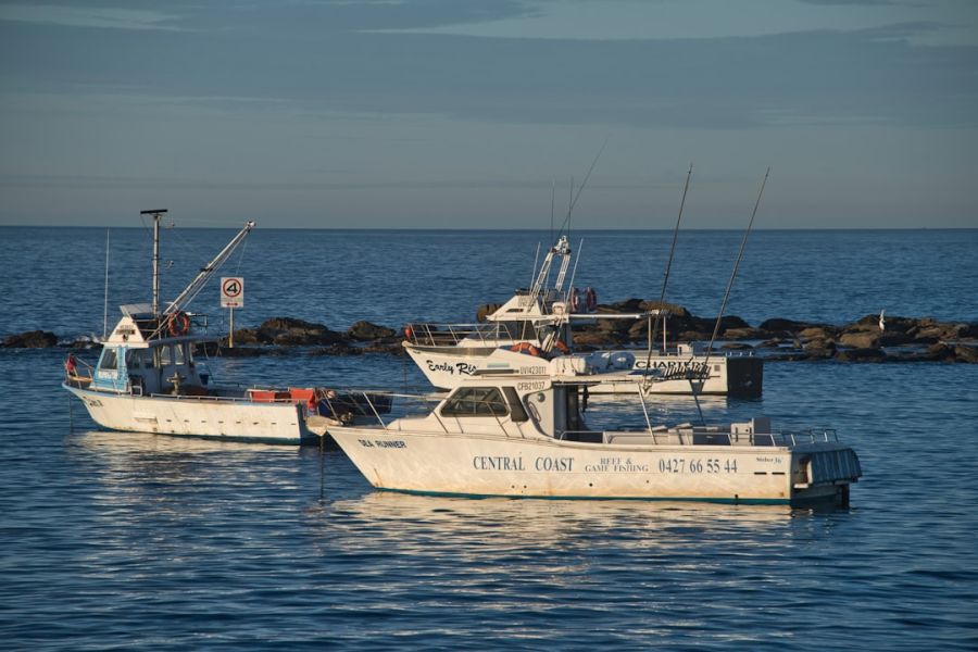 Fishing boats anchored near rocky breakwater.