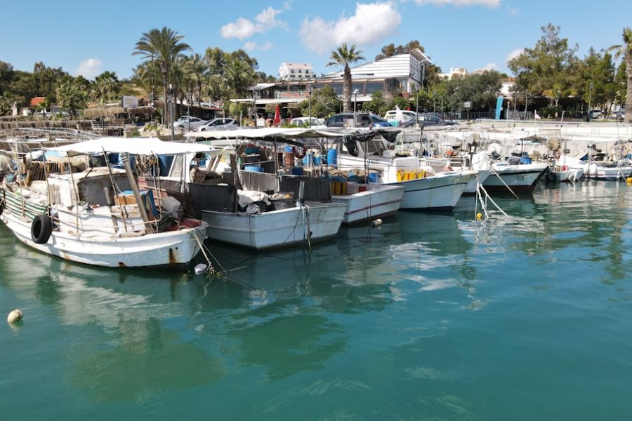 Boats moored along a sunny marina