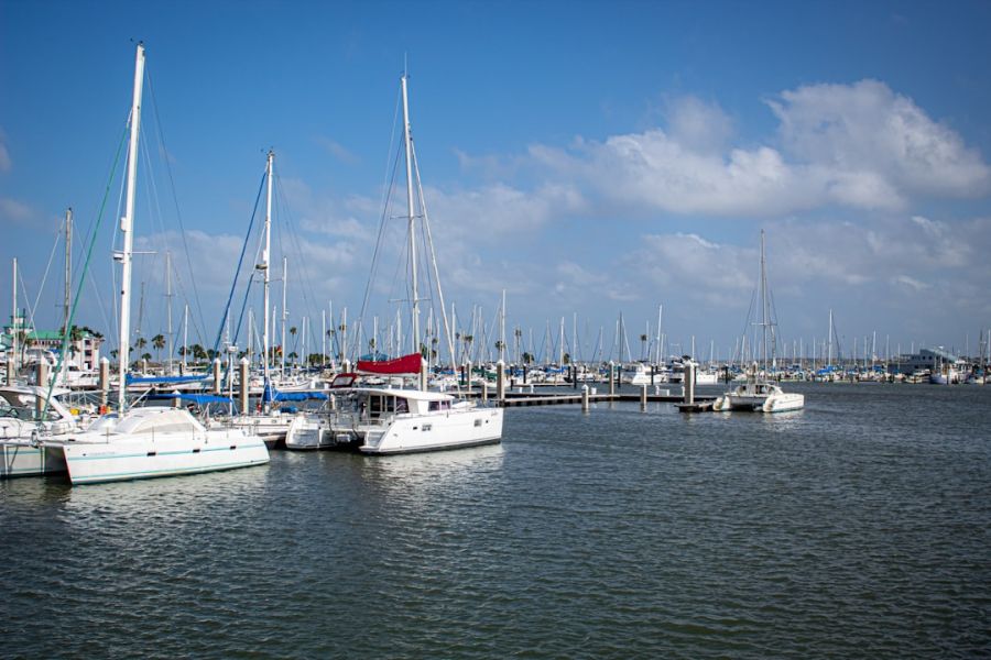 Masts loom over peaceful harbor scene