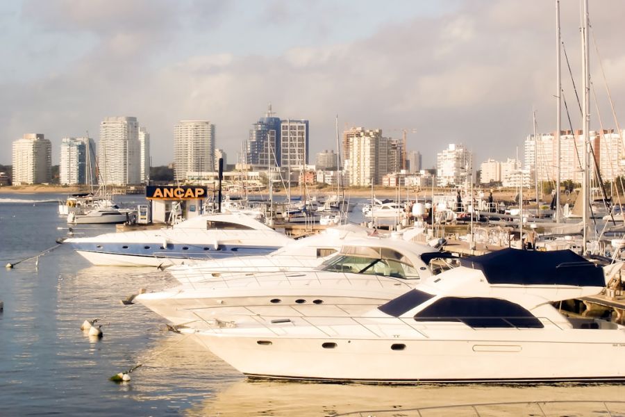 Docked yachts with city skyline backdrop