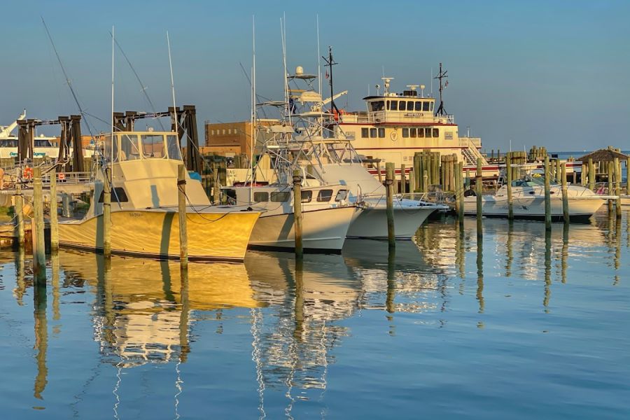 Yachts docked at sunny marina with reflections