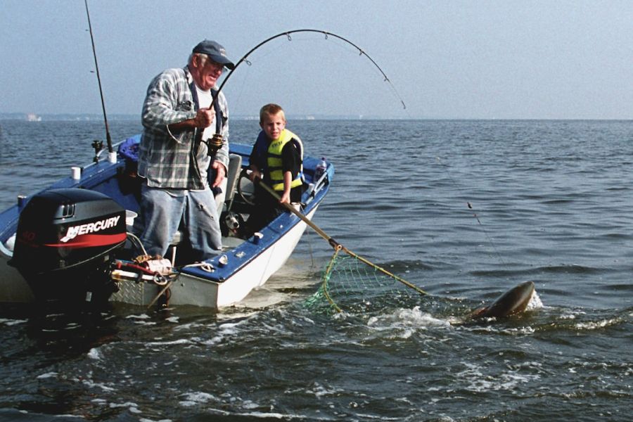 Man and boy fishing from boat with net