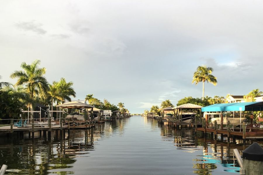 Palm-lined canal with boat docks.
