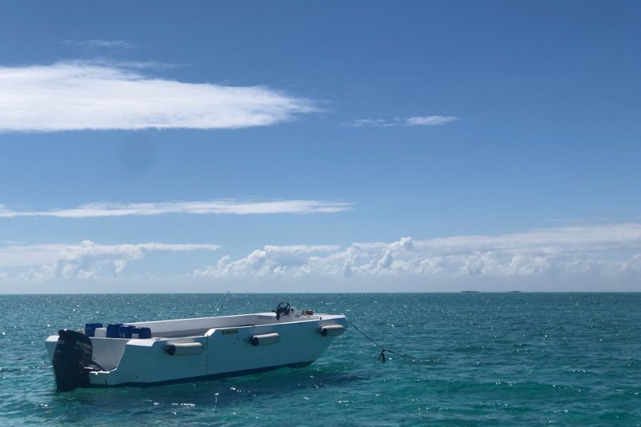 White motorboat anchored in turquoise sea.