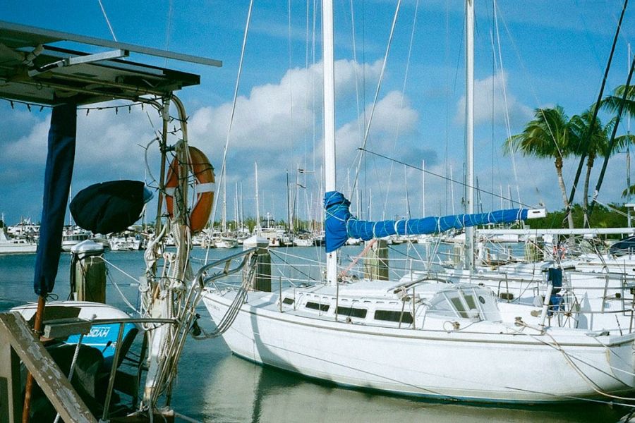 White sailboat docked at marina with palm trees