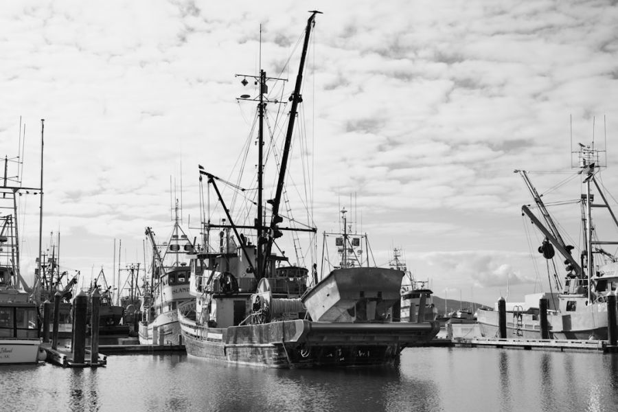 Docked fishing boats in a busy harbor