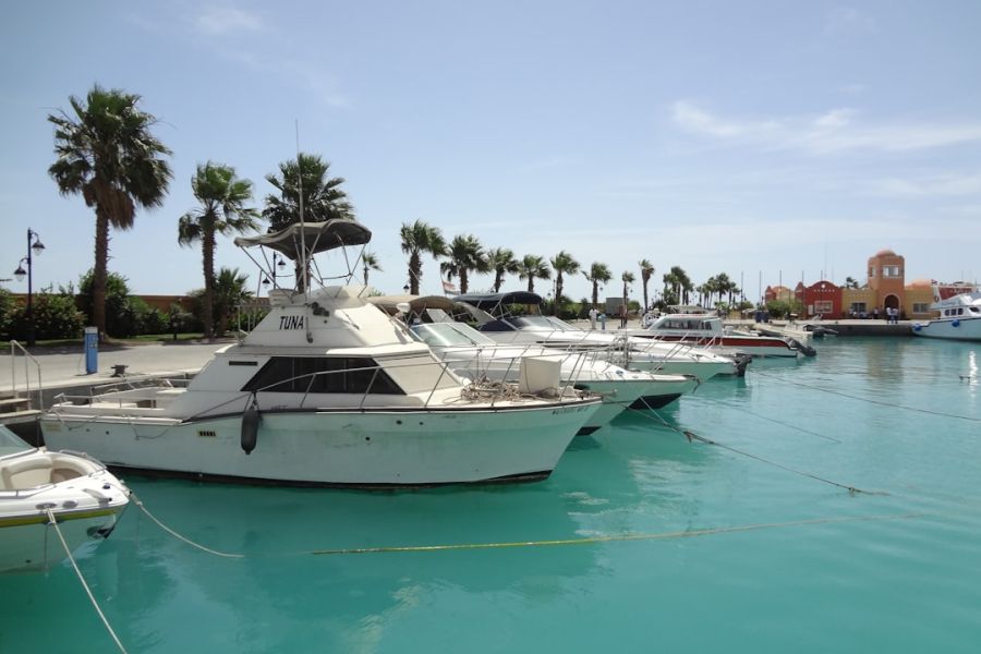 White yachts docked at turquoise marina.