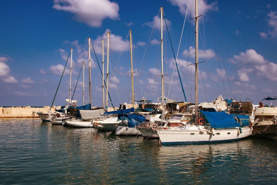 Sailboats docked in a sunny marina