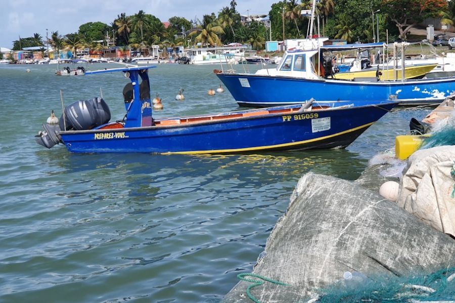 Blue fishing boat near rocky shoreline