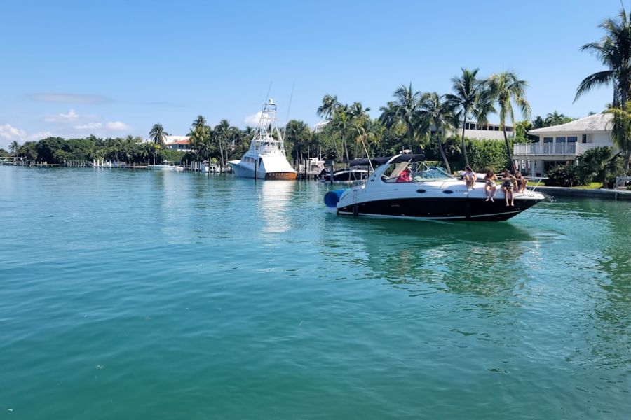 People on speedboat by tropical shoreline