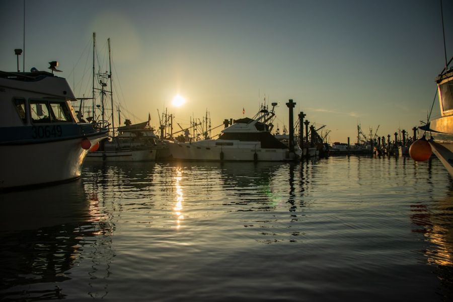 Boats docked at sunset in harbor