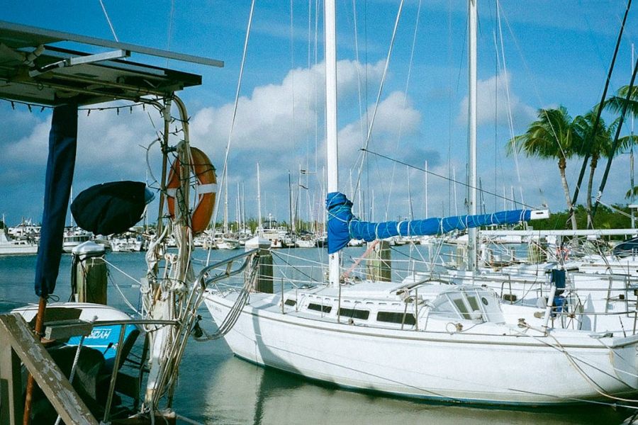 White sailboat docked at marina with palm trees