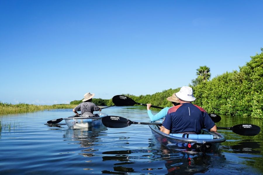 Kayakers paddling along calm blue waterway
