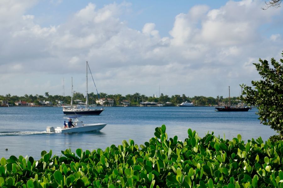 Boats on calm water with green foreground
