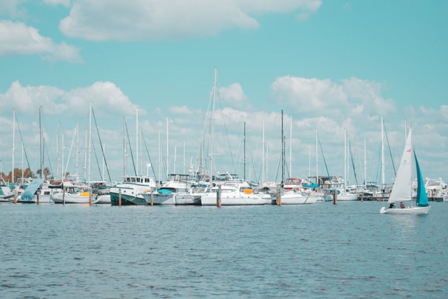 Marina filled with sailboats and yachts.