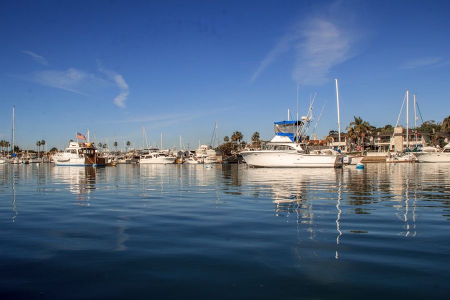 Boats docked in a sunny marina