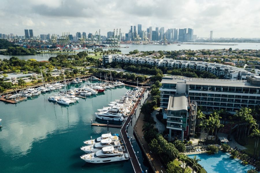 Yacht-filled marina with urban skyline backdrop