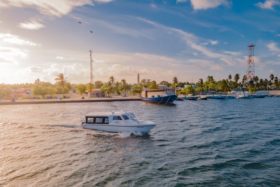 Motorboat cruising near tropical beach and palms.