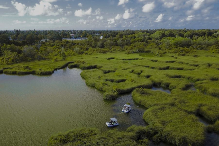 Aerial view of marshland with boats