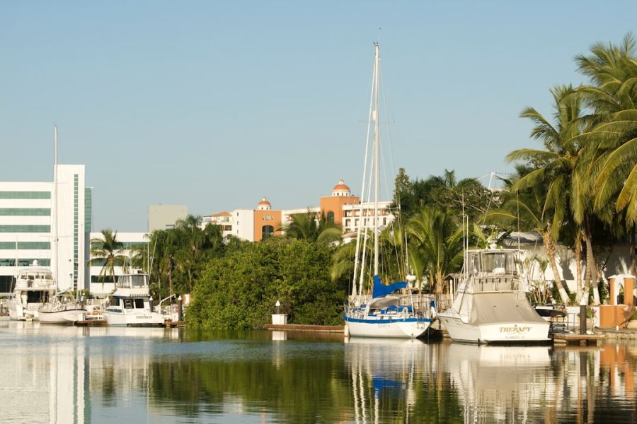 Boats docked along tropical marina.