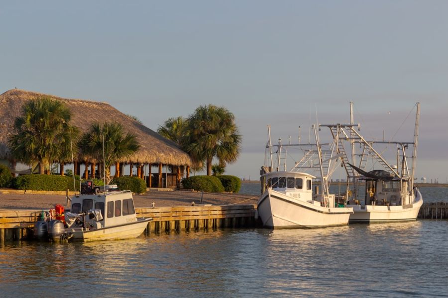 Thatched-roof hut near palm trees and boats