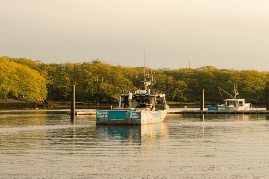 Fishing boat at dock with forested shoreline