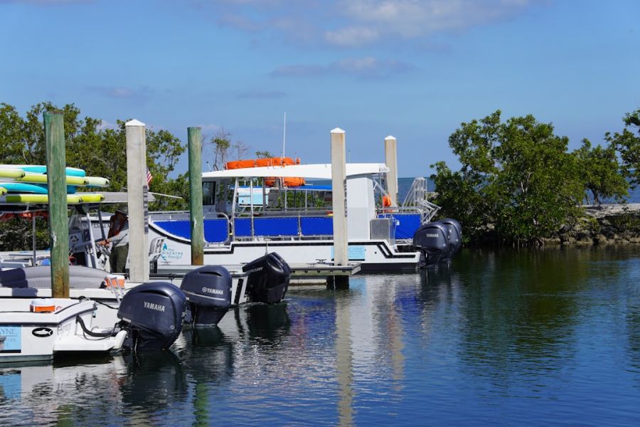Boats moored at a sunny marina