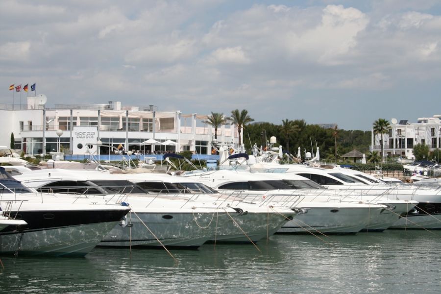 Luxury yachts moored at marina