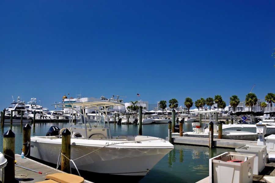Blue sky over calm marina with boats