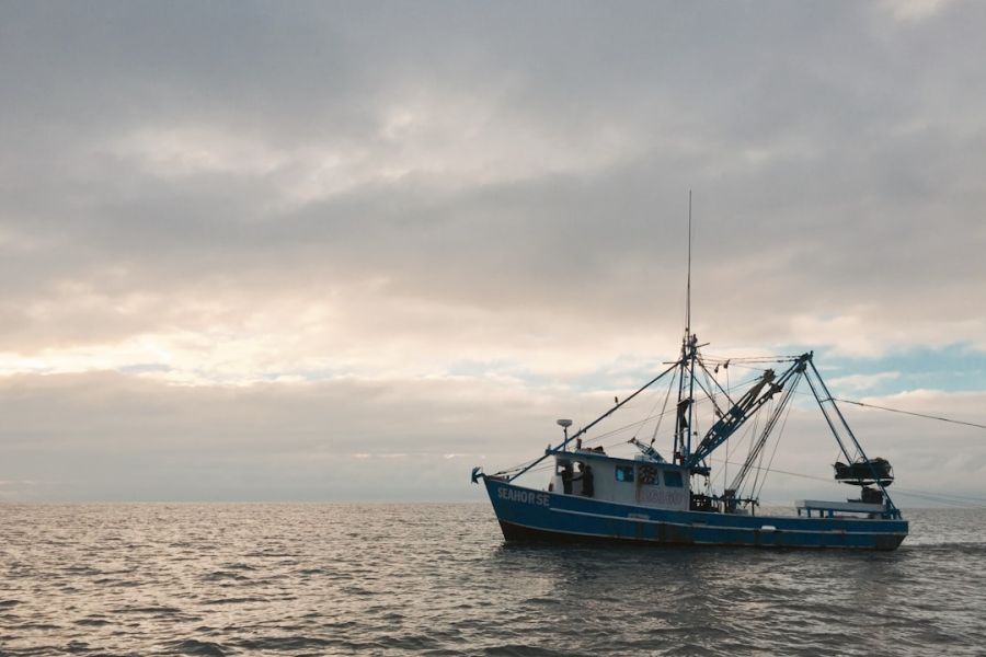 Blue fishing boat on calm sea at sunset